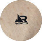 The Disc